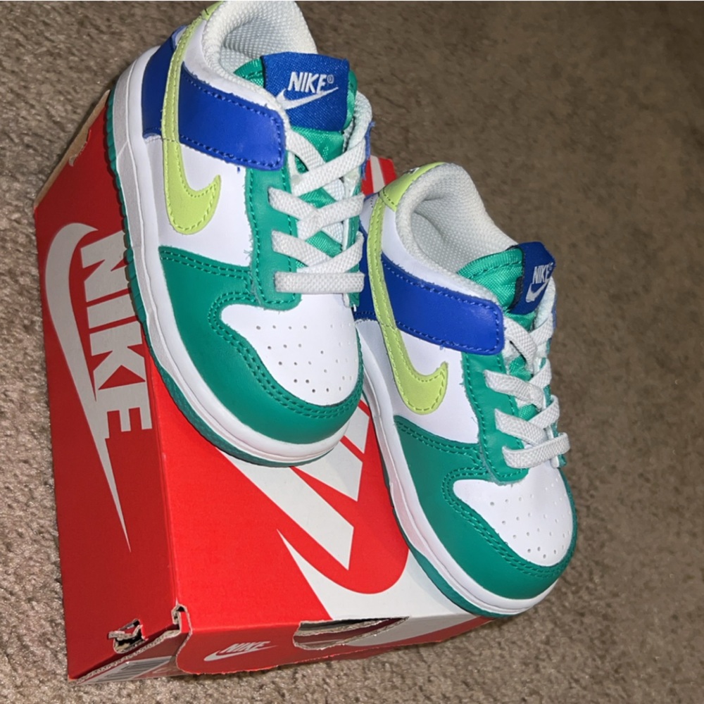 Toddler Nike Dunk Low